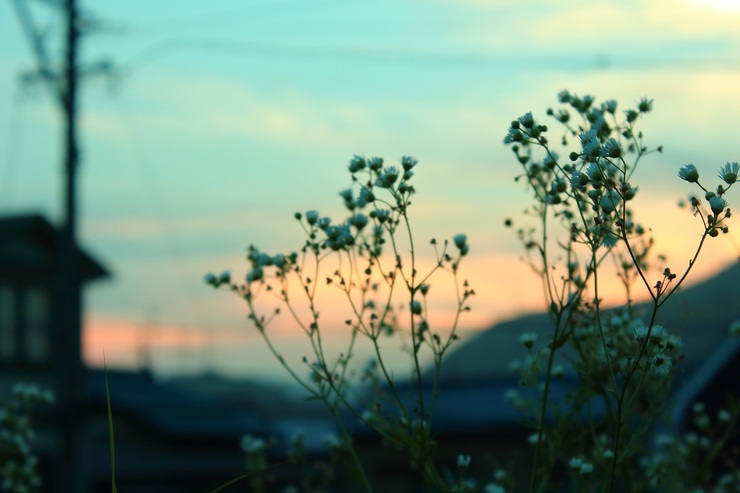 夕暮れ