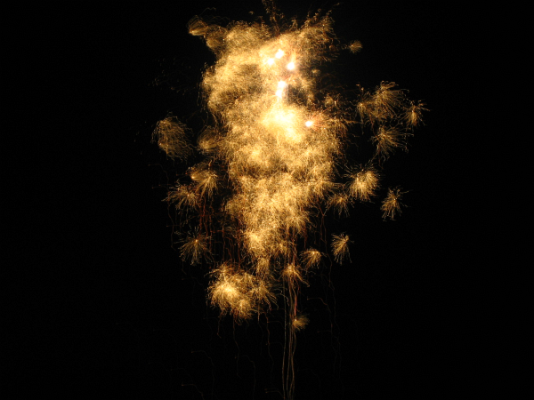 【写真素材】花火2