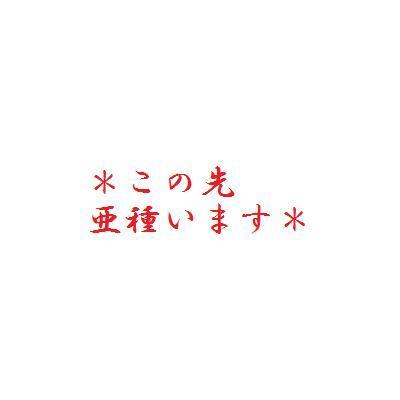 わたさない!!