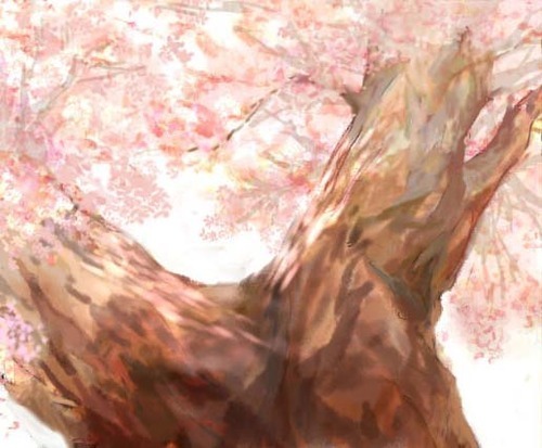 さくら