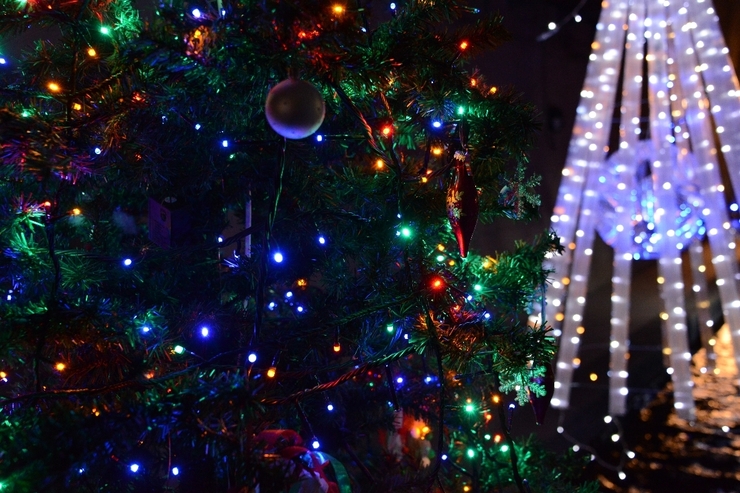 クリスマスツリー