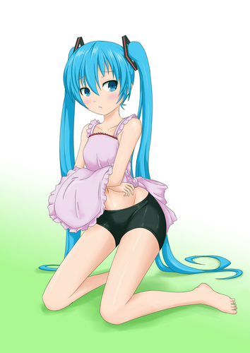 スパッツ姿で裸エプロン姿で腹チラ姿の初音ミク