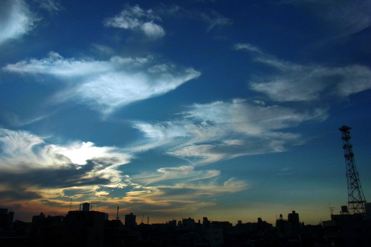 筋雲