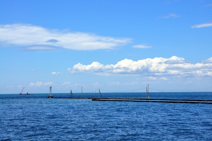 海と電柱
