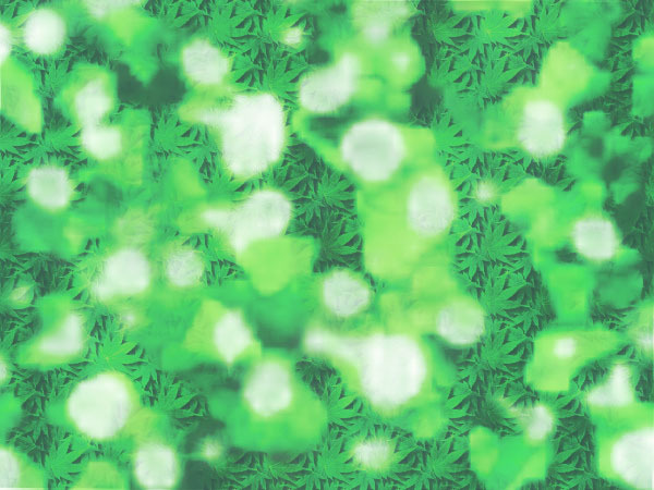 Moss