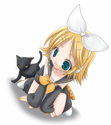 ねことぃっしょ