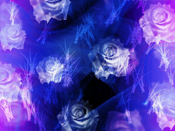 Dry Flower