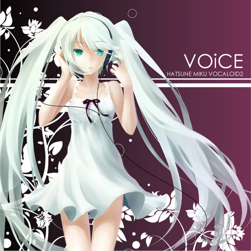 VOiCE
