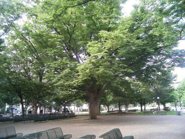 また君に早く会いたい