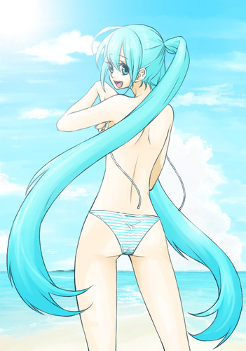 夏です