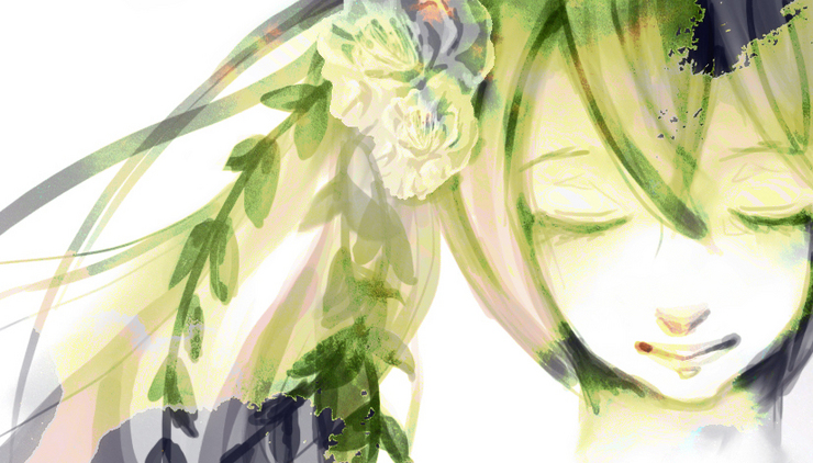 山茶花