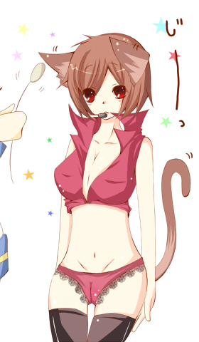 めーにゃん