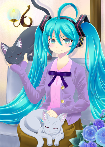 まったりもふもふ、にゃんにゃんタイム。