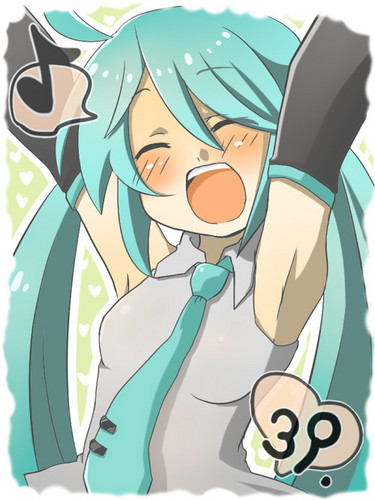 わっほい!
