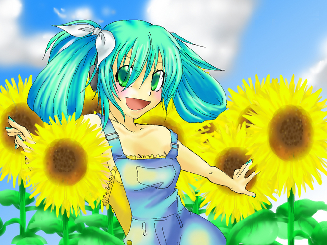 ヒマワリと。