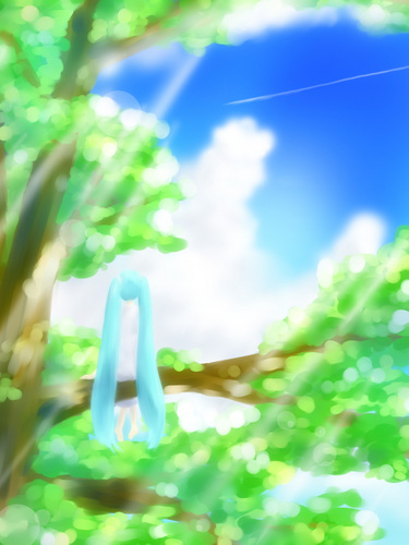 空をみつめる場所