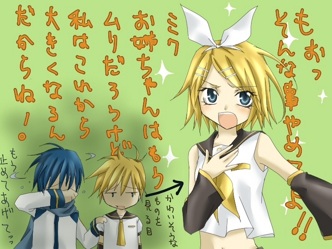 リンちゃんの主張