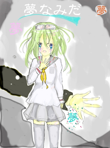 夢なみだ(勝手に)