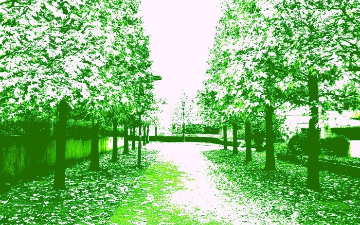 LightonGreenStreet (Desktop 1280 X 800 Ver)