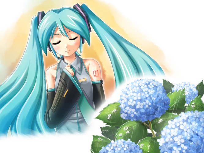 紫陽花とミク