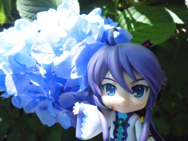 紫陽花とがくぽ(ねんどろ)