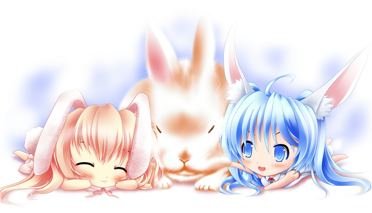 うさ年!あけおめ!