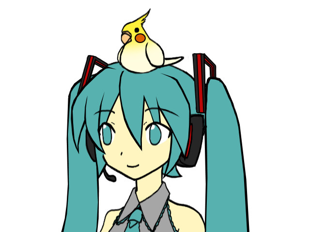 頭にオカメインコ