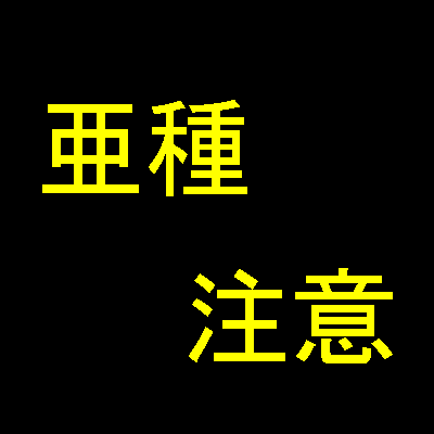【自作亜種】蕪音ぶか