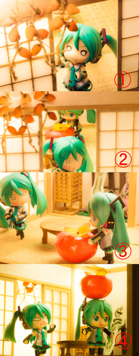 柿