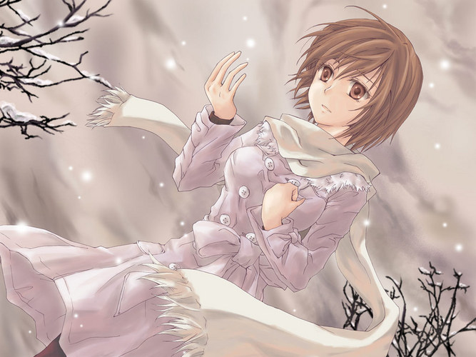 snow flower