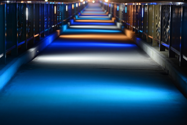Brücke in die Zukunft