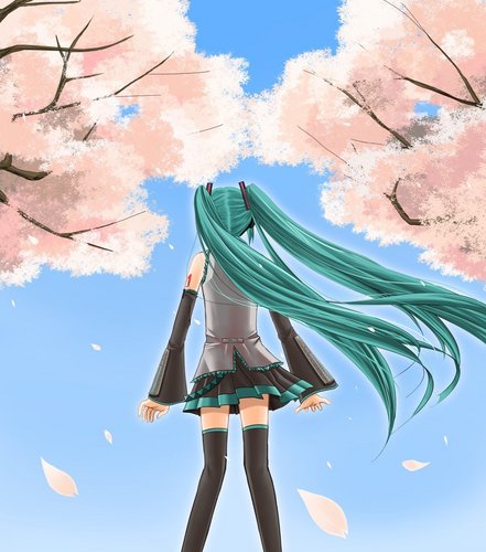 見上げれば、桜