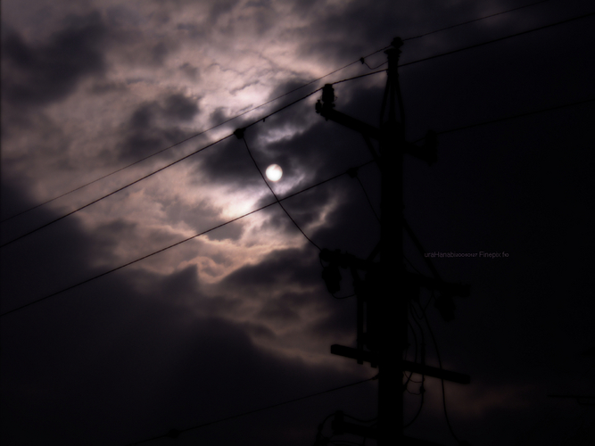写真背景素材としてどうぞ。