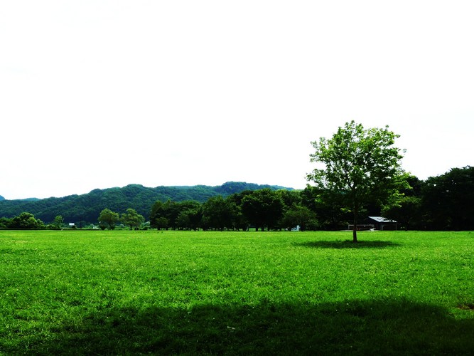 v_d(素材)