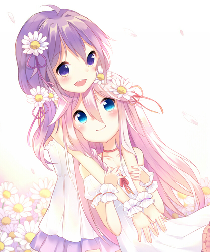 ゆかいあ