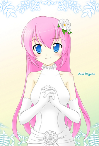 ドレスルカたん