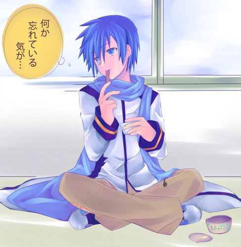 撮影日