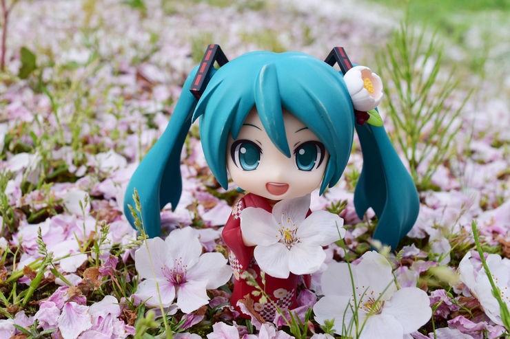 桜の花をミクさんに
