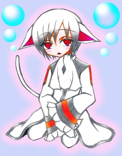 (昨日は)猫の日