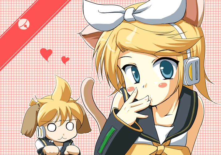 ねこといぬ