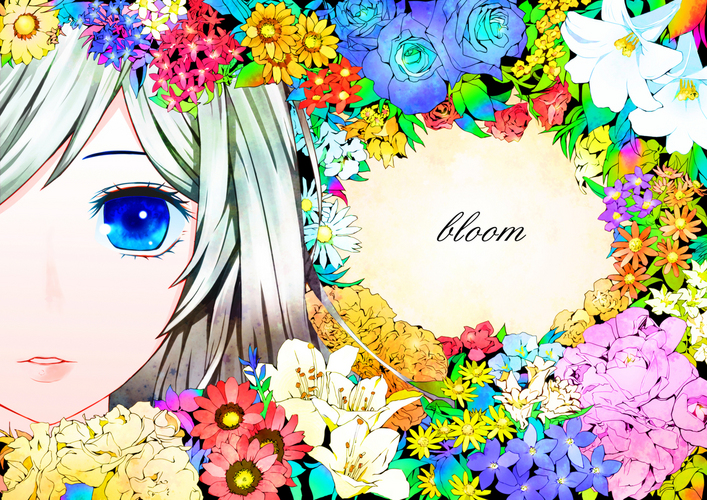 bloom