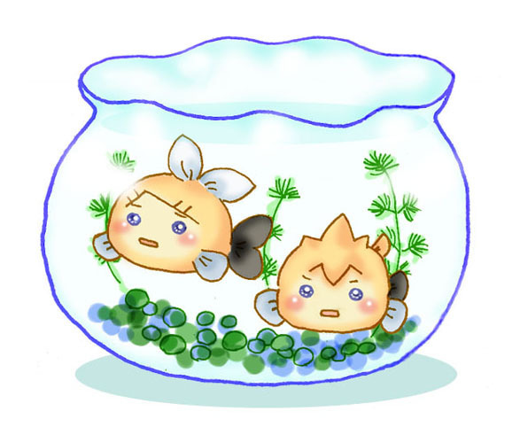 きんぎょ