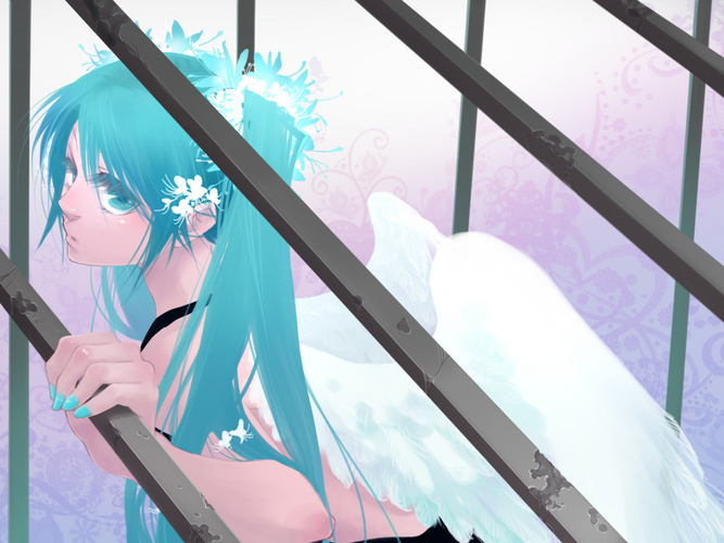 花と羽根