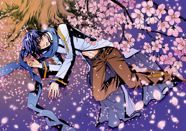 桜の下にて
