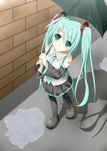 雨の後