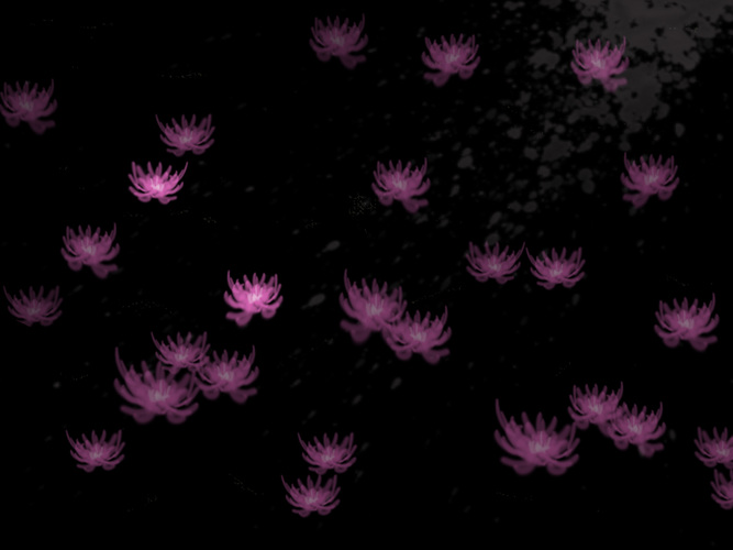 黒PINK背景