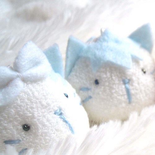 雪カガミネコダマ 2ショット