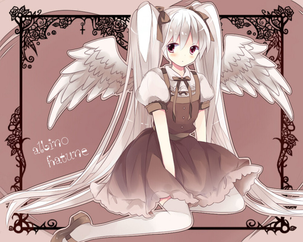 アルビノ