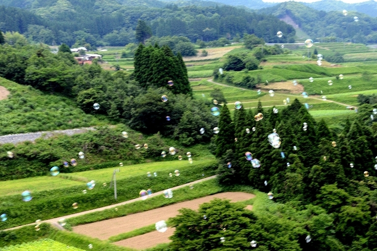 田園シャボン玉