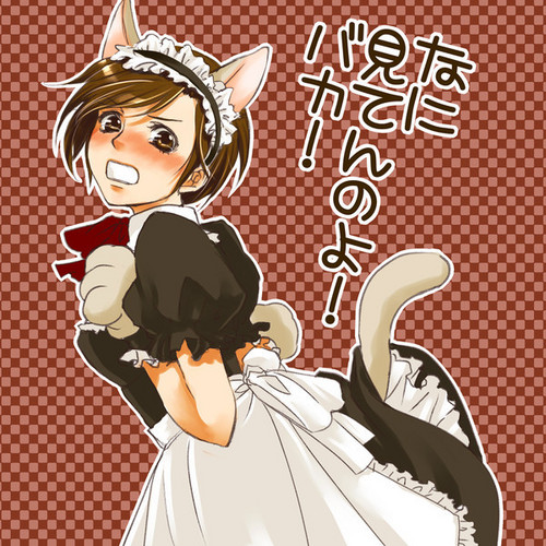 ネコ耳メイド